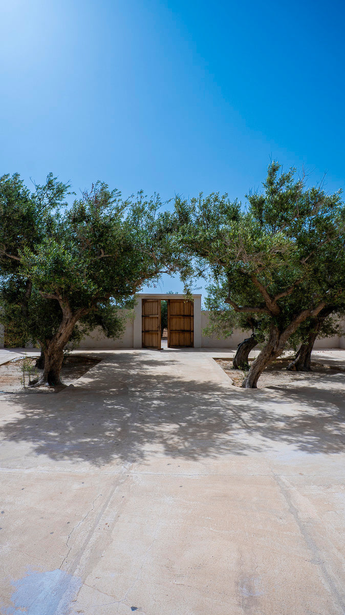 Dar OLFA